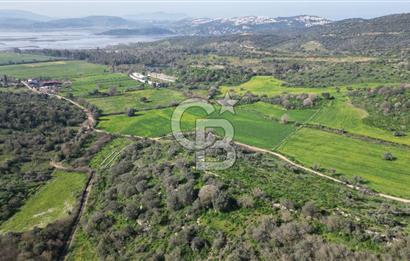 Milas Kemikler Satılık Tarla