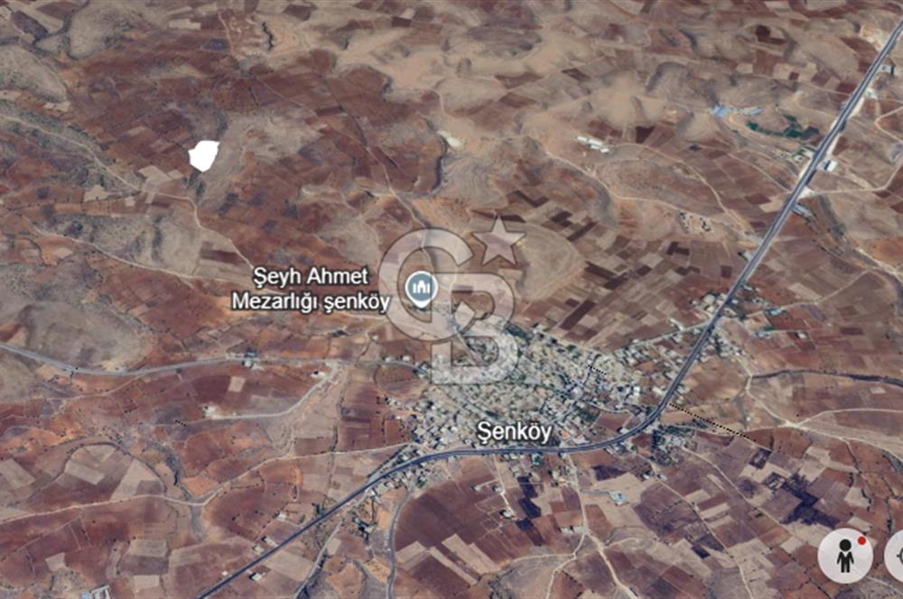 Mardin Midyat Şenköy'de 12.708 m2 lik Yatırımlık Bağ