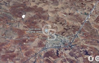 Mardin Midyat Şenköy'de 12.708 m2 lik Yatırımlık Bağ