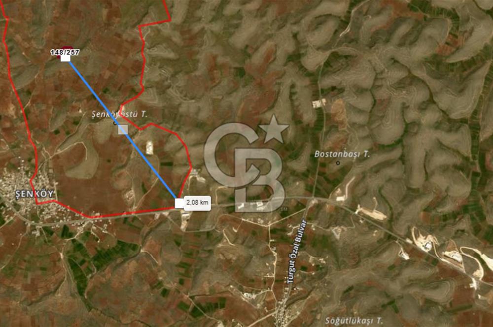 Mardin Midyat Şenköy'de 12.708 m2 lik Yatırımlık Bağ