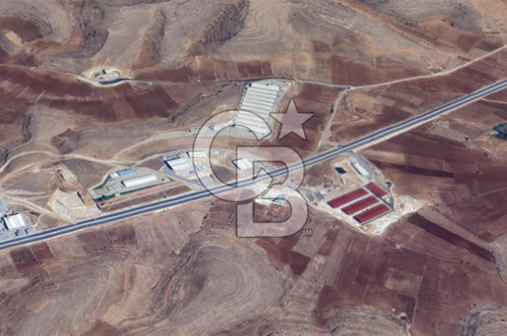 Mardin Midyat Şenköy'de 12.708 m2 lik Yatırımlık Bağ