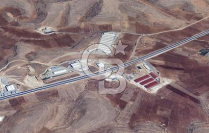 Mardin Midyat Şenköy'de 12.708 m2 lik Yatırımlık Bağ