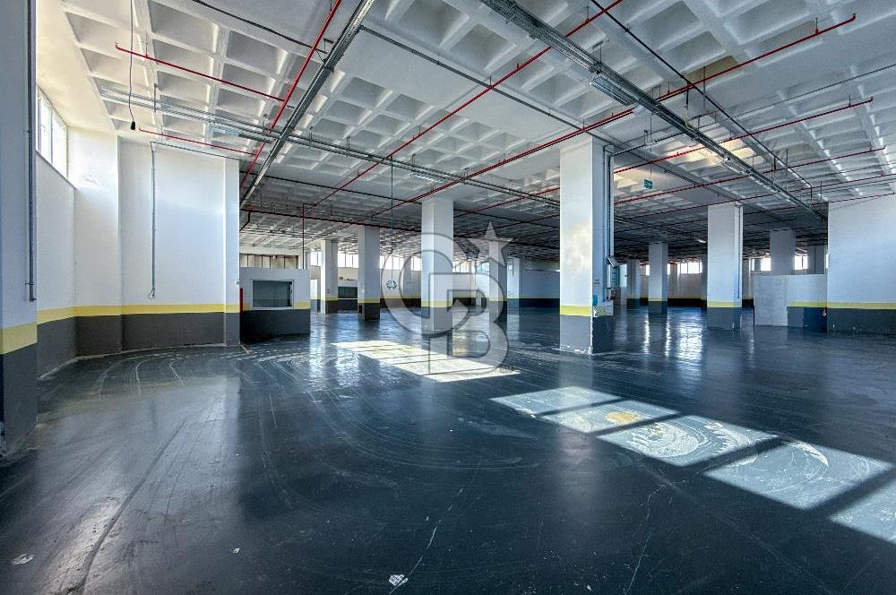 Silivri Selimpaşa Ortaköy Sanayi 12.000 m² Satılık Fabrika