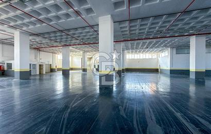 Silivri Selimpaşa Ortaköy Sanayi 12.000 m² Satılık Fabrika