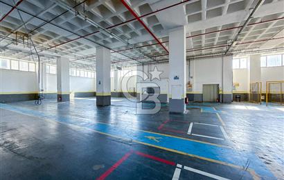 Silivri Selimpaşa Ortaköy Sanayi 12.000 m² Satılık Fabrika