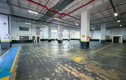 Silivri Selimpaşa Ortaköy Sanayi 12.000 m² Satılık Fabrika
