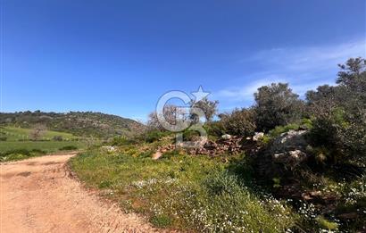 Milas Kemikler Satılık Tarla