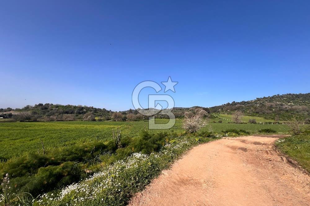 Milas Kemikler Satılık Tarla