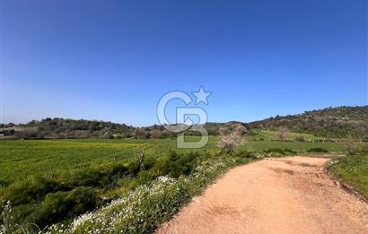 Milas Kemikler Satılık Tarla