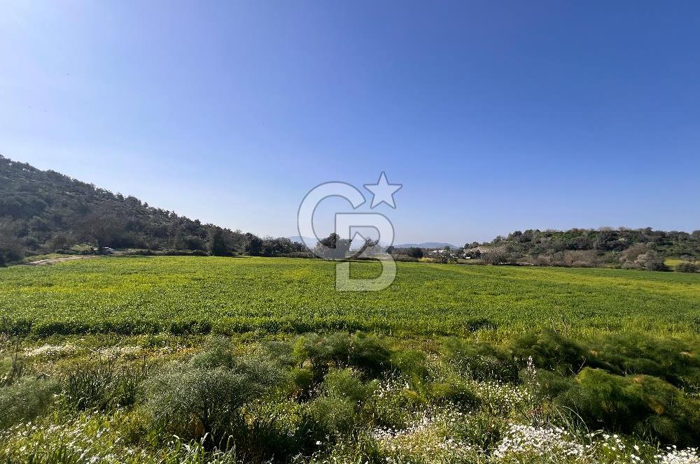 Milas Kemikler Satılık Tarla