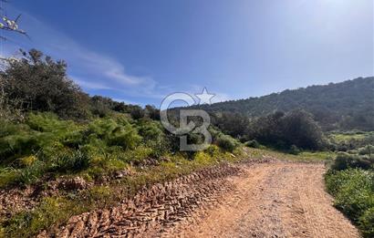 Milas Kemikler Satılık Tarla