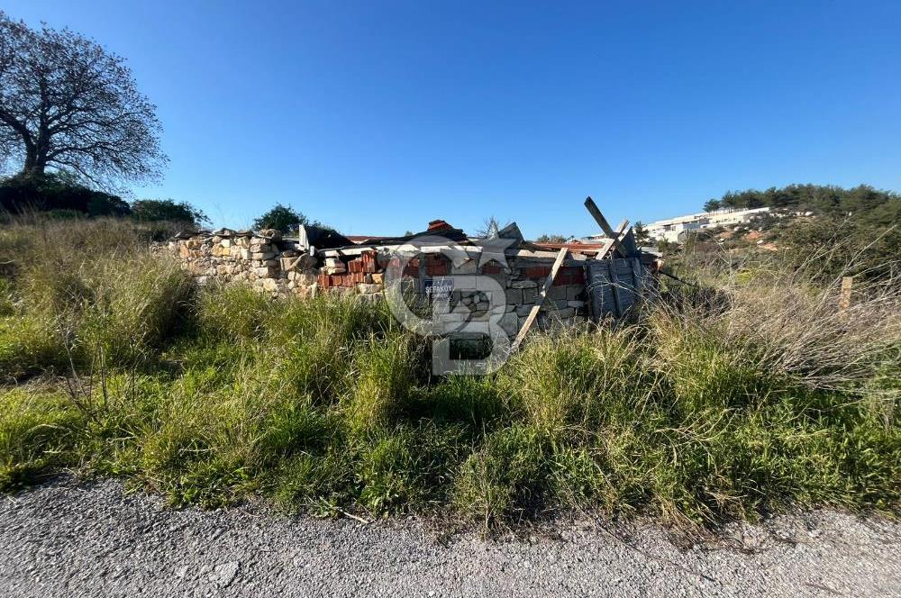 Urla Kalabak'ta Kekliktepe Komşu Satılık Zeytinlik Arazi