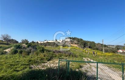 Urla Kalabak'ta Kekliktepe Komşu Satılık Zeytinlik Arazi