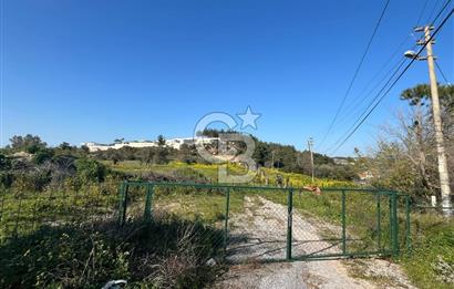 Urla Kalabak'ta Kekliktepe Komşu Satılık Zeytinlik Arazi