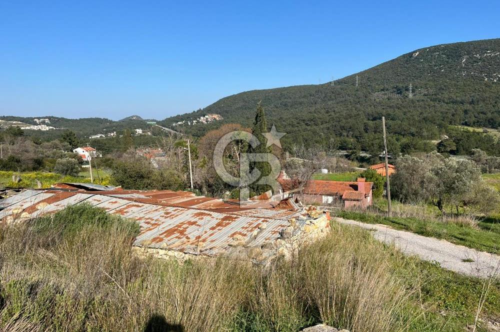 Urla Kalabak'ta Kekliktepe Komşu Satılık Zeytinlik Arazi