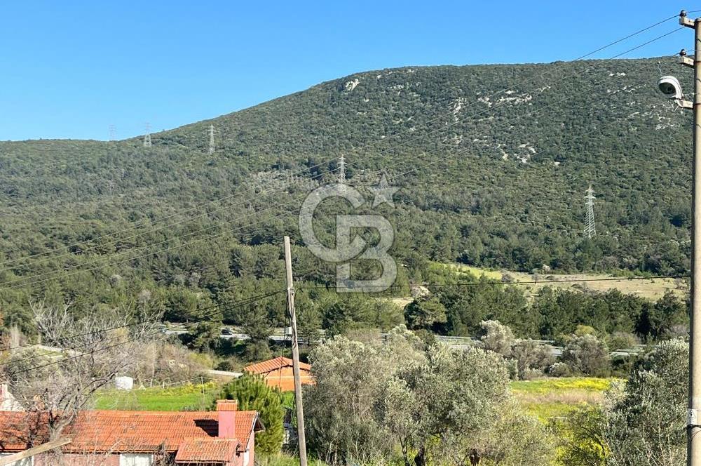 Urla Kalabak'ta Kekliktepe Komşu Satılık Zeytinlik Arazi