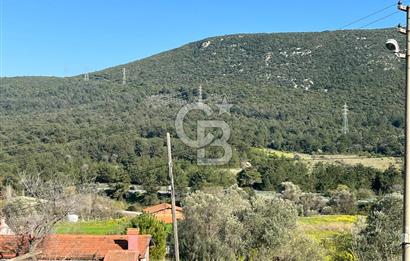 Urla Kalabak'ta Kekliktepe Komşu Satılık Zeytinlik Arazi