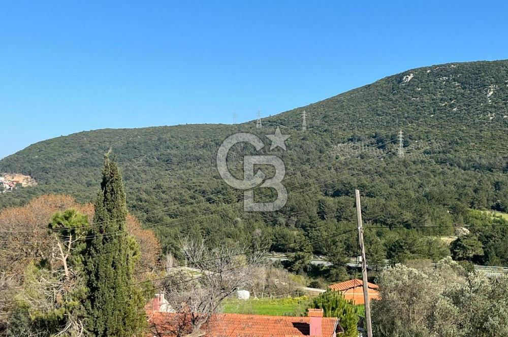 Urla Kalabak'ta Kekliktepe Komşu Satılık Zeytinlik Arazi