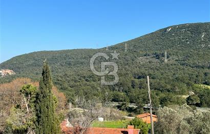 Urla Kalabak'ta Kekliktepe Komşu Satılık Zeytinlik Arazi