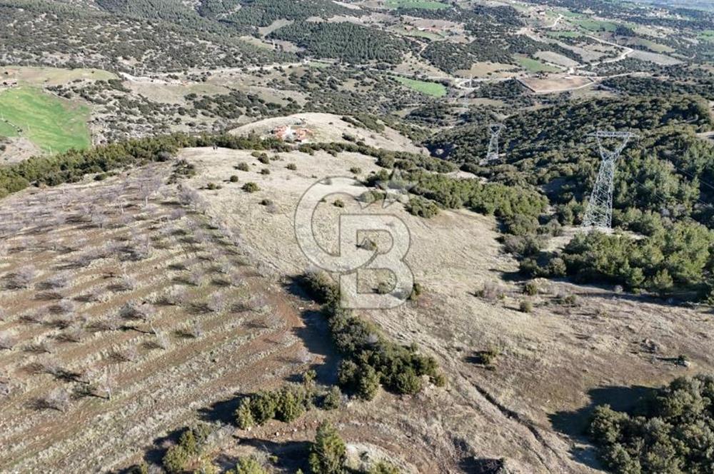 Manisa Kula Merkeze Yakın 21 Dönüm Yatırımlık Satılık Tarla