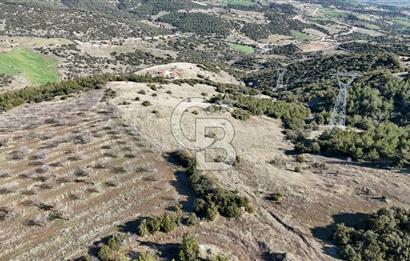 Manisa Kula Merkeze Yakın 21 Dönüm Yatırımlık Satılık Tarla