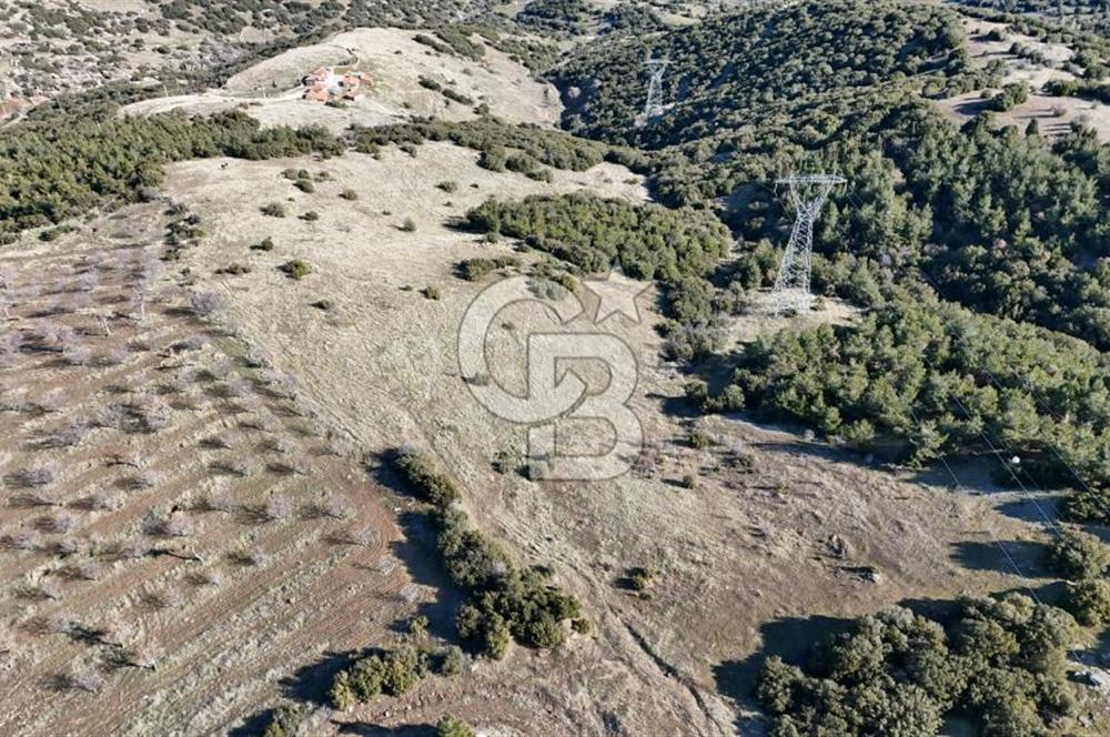 Manisa Kula Merkeze Yakın 21 Dönüm Yatırımlık Satılık Tarla