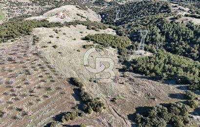 Manisa Kula Merkeze Yakın 21 Dönüm Yatırımlık Satılık Tarla