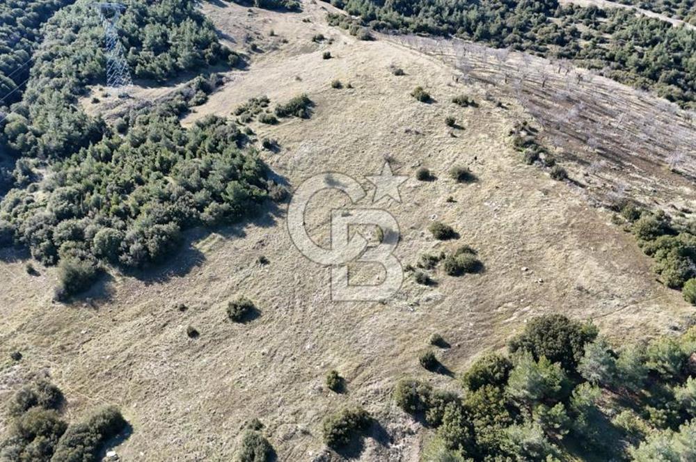 Manisa Kula Merkeze Yakın 21 Dönüm Yatırımlık Satılık Tarla