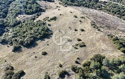 Manisa Kula Merkeze Yakın 21 Dönüm Yatırımlık Satılık Tarla