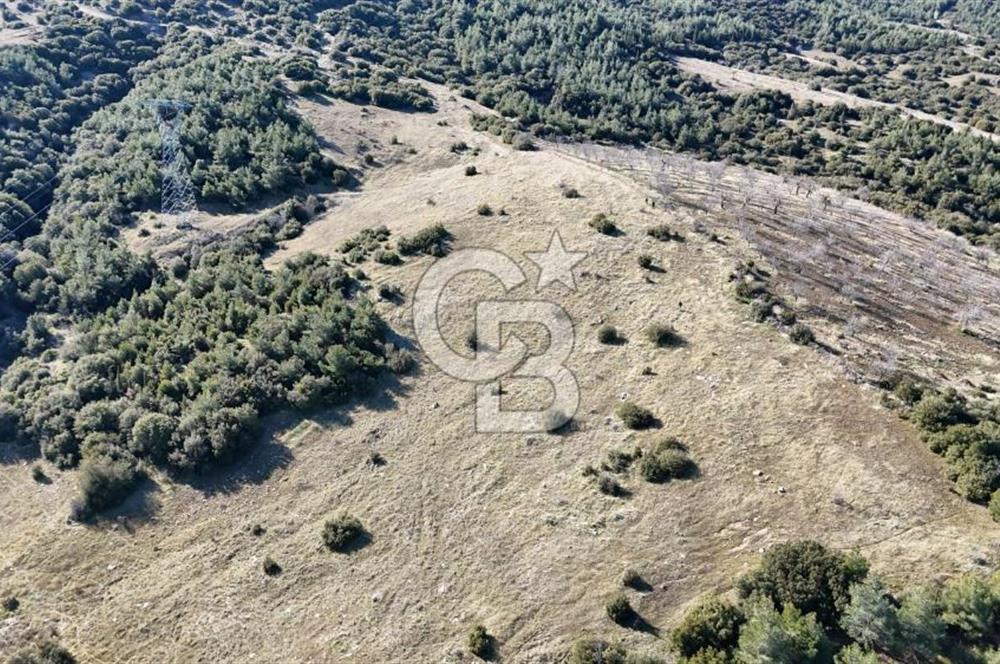 Manisa Kula Merkeze Yakın 21 Dönüm Yatırımlık Satılık Tarla