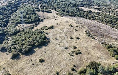 Manisa Kula Merkeze Yakın 21 Dönüm Yatırımlık Satılık Tarla