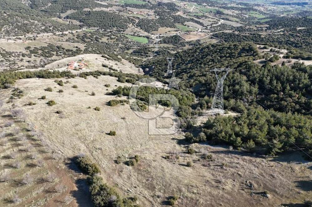 Manisa Kula Merkeze Yakın 21 Dönüm Yatırımlık Satılık Tarla
