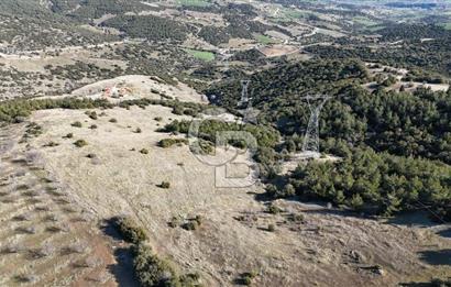 Manisa Kula Merkeze Yakın 21 Dönüm Yatırımlık Satılık Tarla