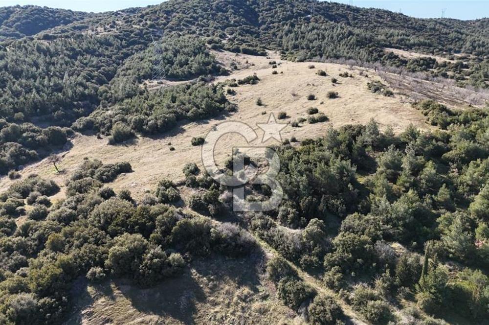 Manisa Kula Merkeze Yakın 21 Dönüm Yatırımlık Satılık Tarla