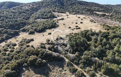 Manisa Kula Merkeze Yakın 21 Dönüm Yatırımlık Satılık Tarla