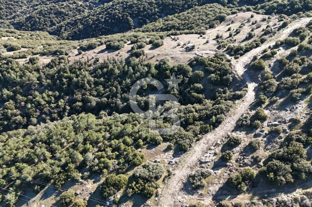 Manisa Kula Merkeze Yakın 21 Dönüm Yatırımlık Satılık Tarla