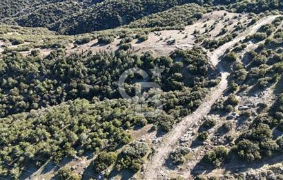 Manisa Kula Merkeze Yakın 21 Dönüm Yatırımlık Satılık Tarla