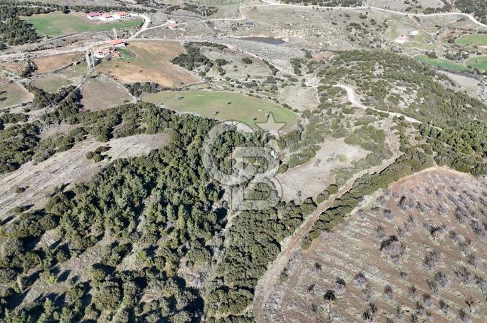 Manisa Kula Merkeze Yakın 21 Dönüm Yatırımlık Satılık Tarla