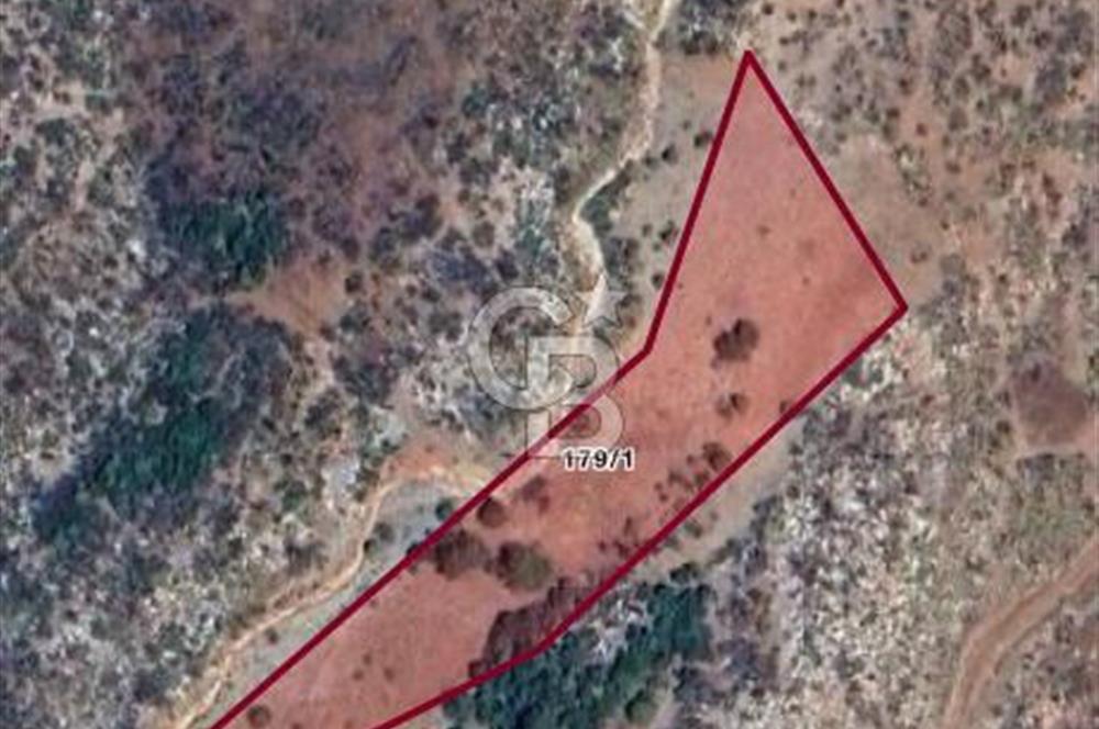 MUĞLA MENTEŞE İKİZCE MAHALLESİNDE SATILIK TARLA