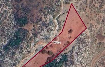 MUĞLA MENTEŞE İKİZCE MAHALLESİNDE SATILIK TARLA