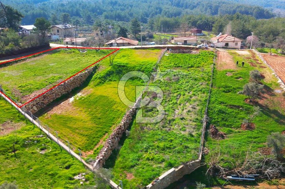 Muğla Menteşe Yenice Mahallesinde Satılk Köy İçi İmarlı Tarla