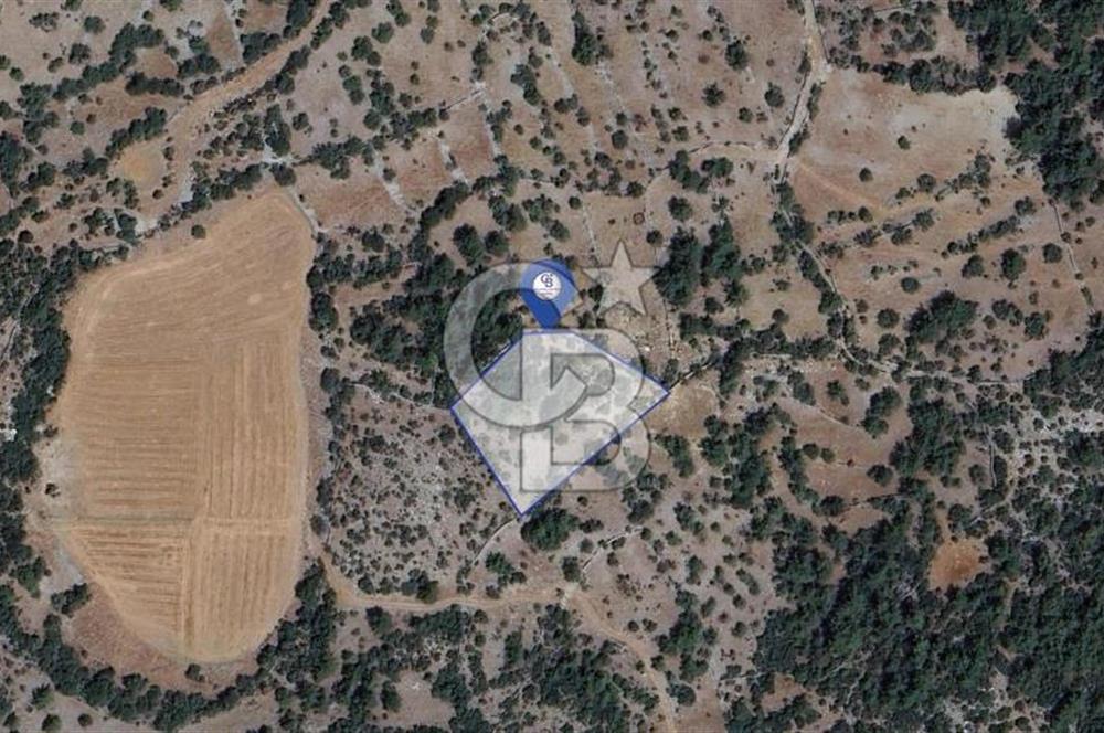 Muğla Menteşe Denizova'da Satılık 947m2 Hisseli Tarla 