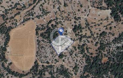 Muğla Menteşe Denizova'da Satılık 947m2 Hisseli Tarla 