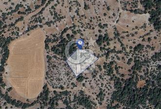 Muğla Menteşe Denizova'da Satılık 947m2 Hisseli Tarla  - 1 - 338746