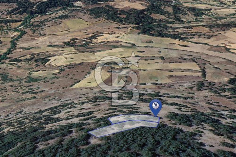 MUĞLA MENTEŞE YENİKÖY’DE 805 m² YATIRIMLIK TARLA