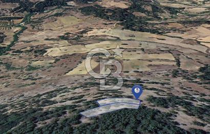 MUĞLA MENTEŞE YENİKÖY’DE 805 m² YATIRIMLIK TARLA