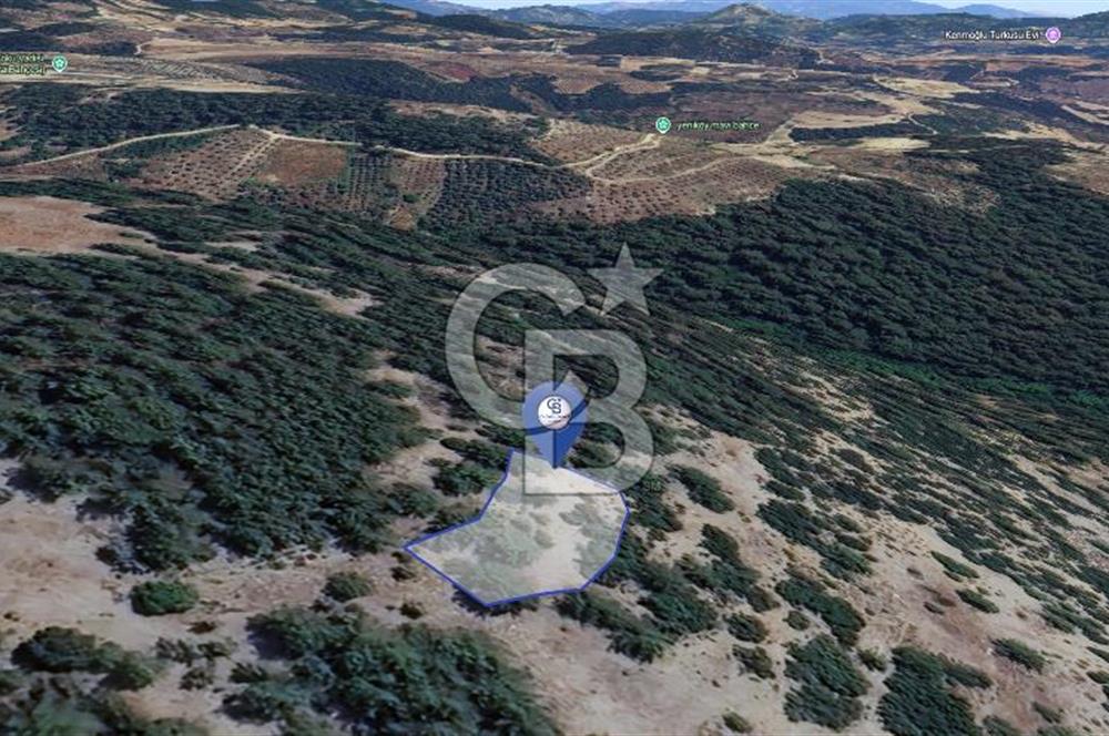 MUĞLA MENTEŞE YENİKÖY’DE 805 m² YATIRIMLIK TARLA