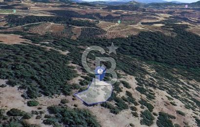 MUĞLA MENTEŞE YENİKÖY’DE 805 m² YATIRIMLIK TARLA