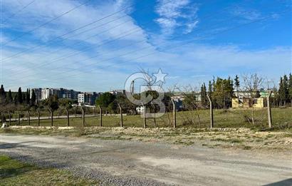 DİLOVASI TAVŞANCILDA 985 M² KONUT İMARLI ARSA