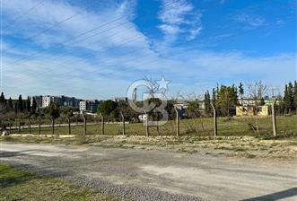DİLOVASI TAVŞANCILDA 985 M² KONUT İMARLI ARSA - 1 - 338772